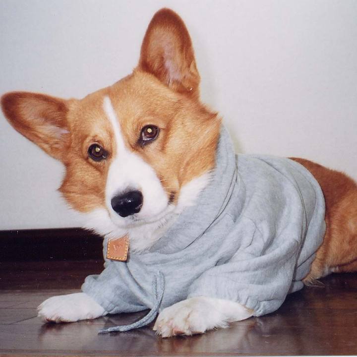 858c7037 9c01 4a7e 9019 45d0d4868f28