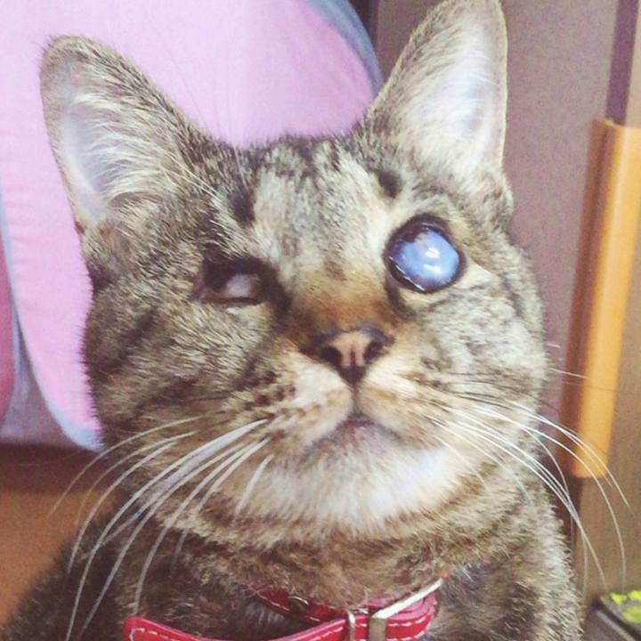 858d061e c033 4cd5 89d9 3d114fdd5397