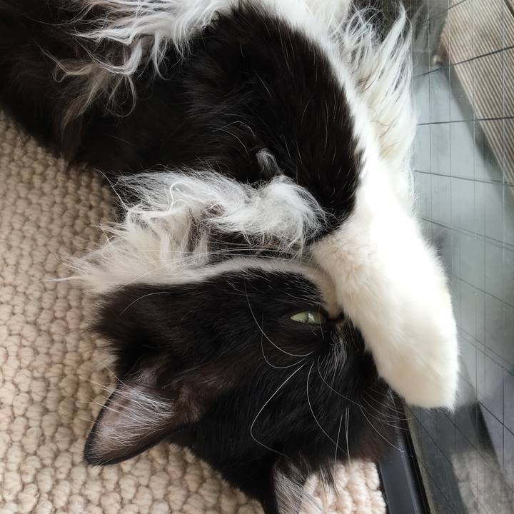 858d158d 10ce 4eb5 83f0 b53d7f7cd6f0