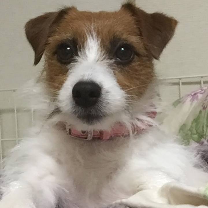 858e0da9 7034 46b3 8fc4 3ecb42b922e2