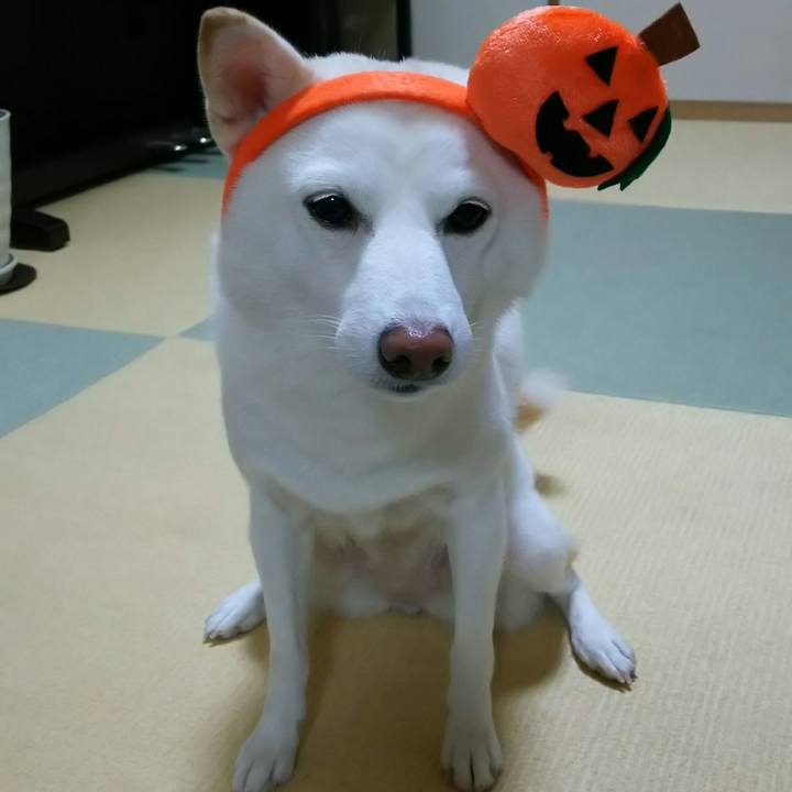 858ebc4e df57 4c30 8460 e84fe9dc0556