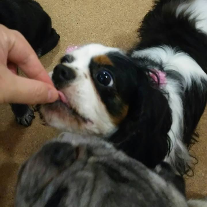 858f1b5a 3e51 4fa4 9f37 16924859fd73