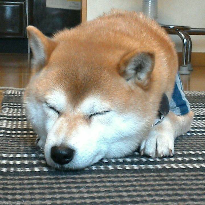 858f3ca7 c4ad 4918 95f3 d293c5dcdc07