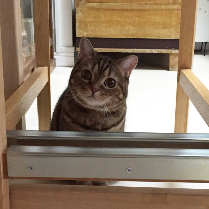 858fbcd4 18c3 4837 89b6 c769e6a41ee0