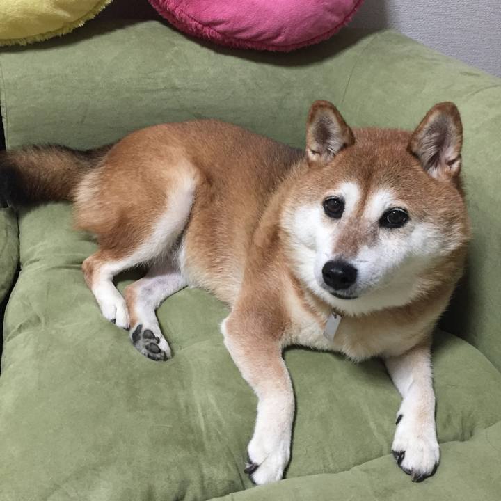 858fe5c4 811f 45d9 b1d3 02c7bf2b7321