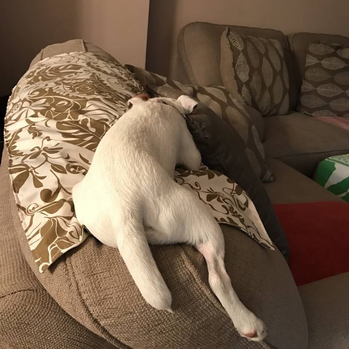 85901811 15b2 4961 89d6 20ff73cc6cb0