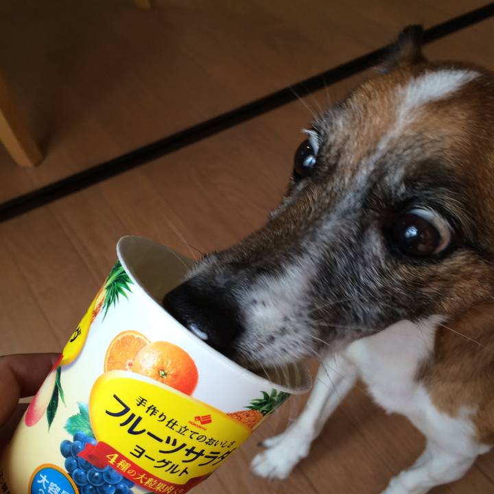 85904d52 55bf 44ac 8520 9d3959cfd3e2