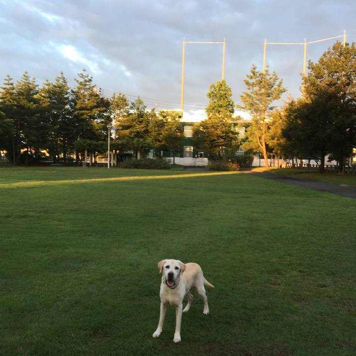 859075d0 9947 4f41 ad5e 6dbbdbecfc34