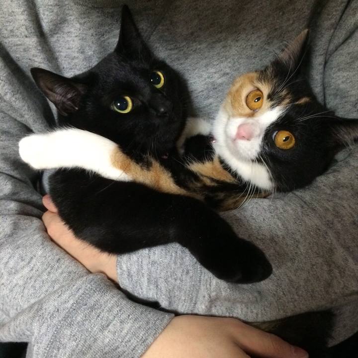 8590d085 6d69 4364 9c4f 135dc8319175