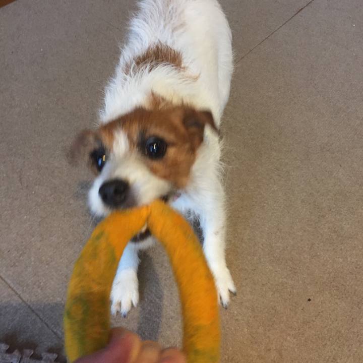 85910071 629a 4f3b bd3c 4541caf4c301