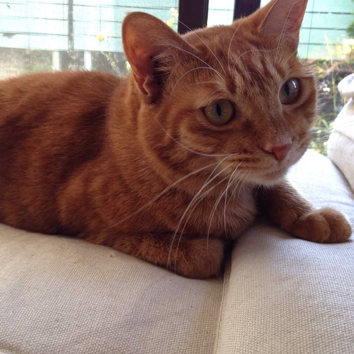 859185b5 ecf5 4761 b5dc 1e21e68734ce