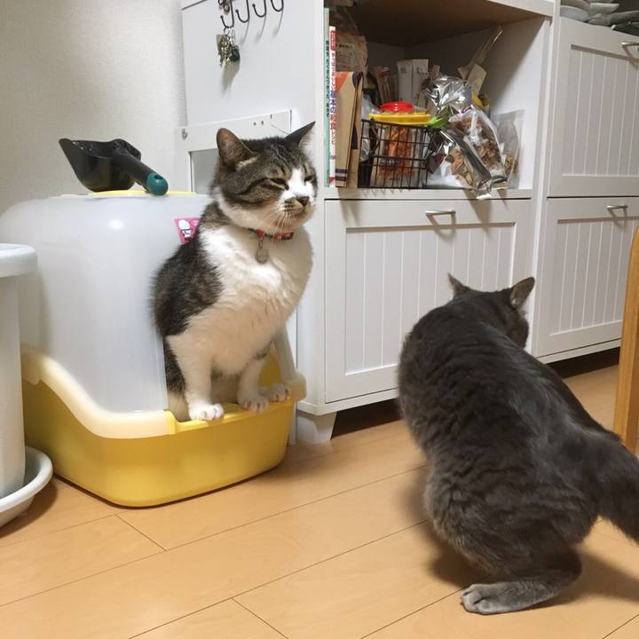 8591cc27 d749 417f 806d 66293bc4d56d