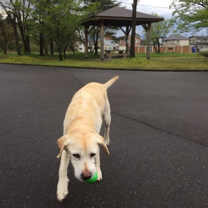 8591d79c 844c 46fe 86f9 66d7c9795e9b