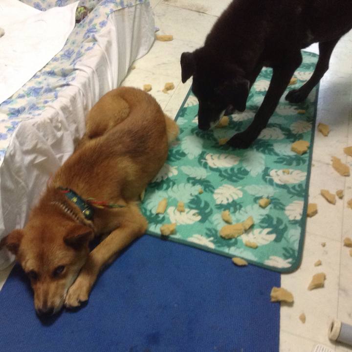 8591ddca 1f04 4d74 ab6a f194c52e9d5c