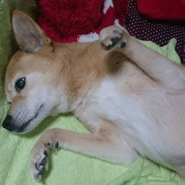 8591e435 5f0a 49c0 a9e7 c9aea0896b4d