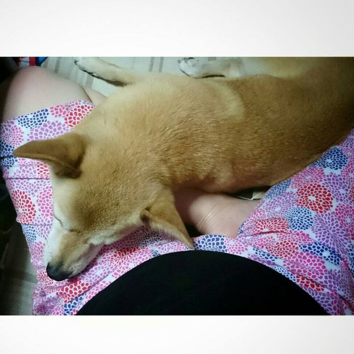 8592bd4f 4b64 417f be1c 7f5c2b49727c