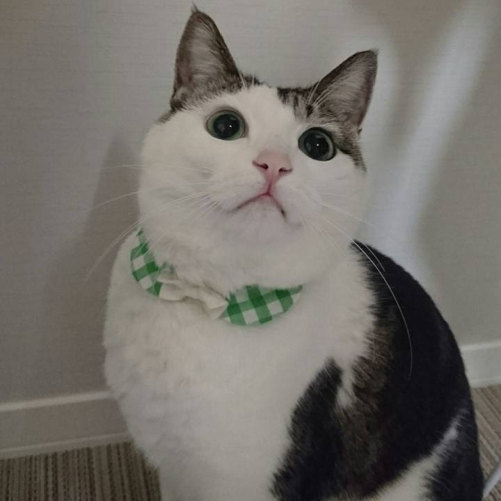 8592c9d0 3fda 4c39 a203 1822336f900f