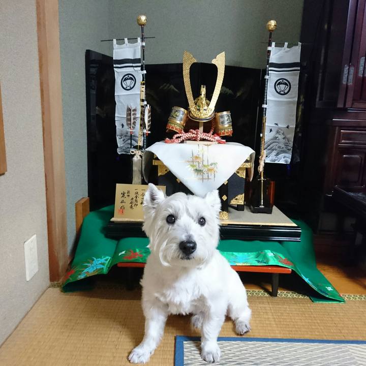 8592eea6 bded 451c 9d0a 4e1beb13cc69