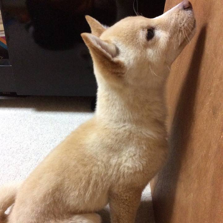 8593a656 16bd 40eb 9ef8 063482e64c5a