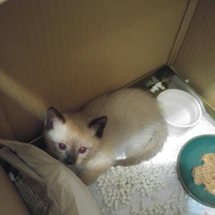 8593a911 5b9a 407c b61f fb2788c87ef3