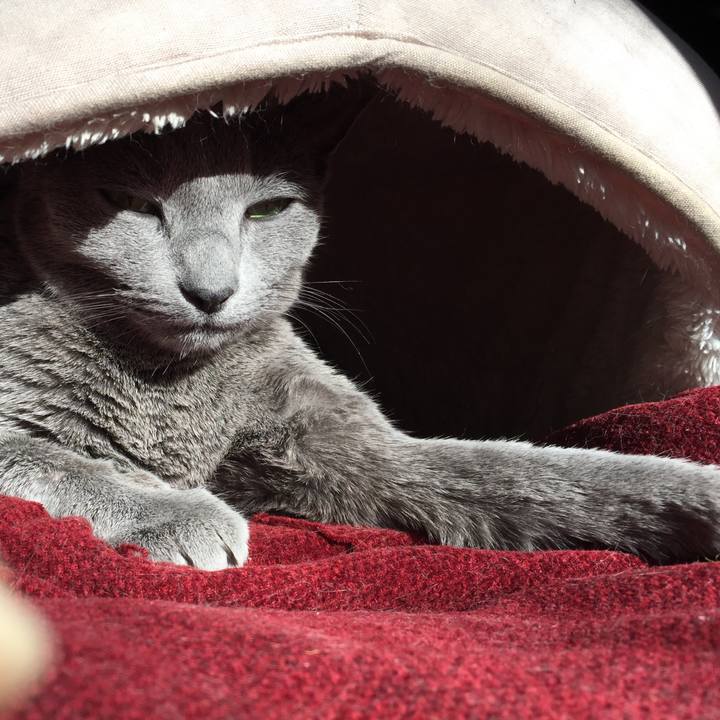 8593d000 4122 4f66 8064 f80b49b7c3cc