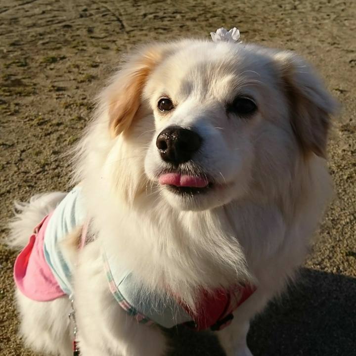 85944f0d a334 49d4 8975 f4242882b050