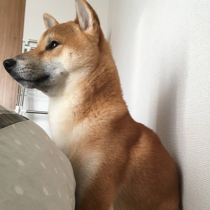 8594c7b8 0f09 4536 bc32 6553b18ac2f8