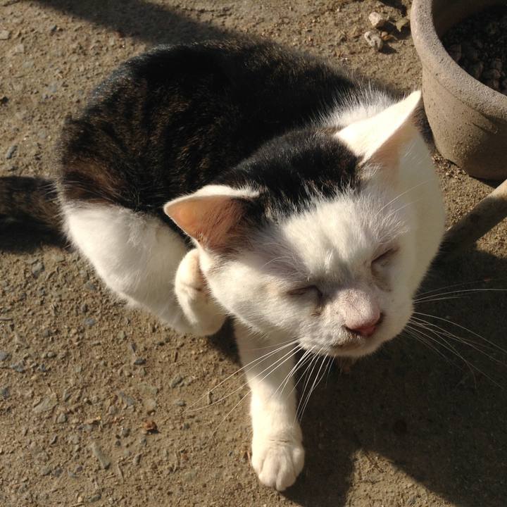 8595e6fa 0155 455a bf4c 46ce509791ab