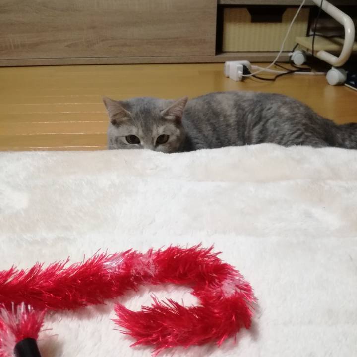 85966b8e e69a 4e89 a246 6c6b0fddd6ae