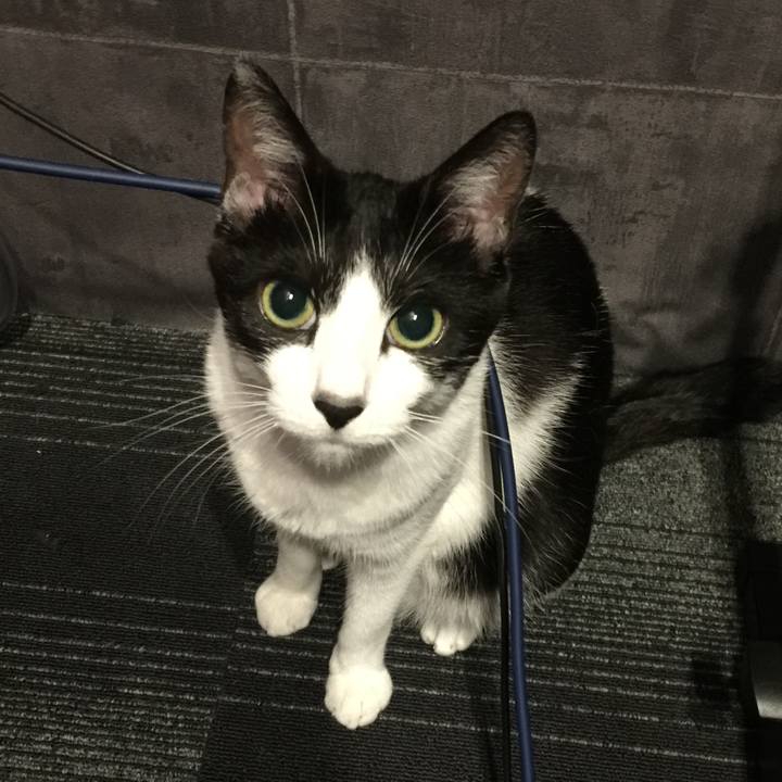 85986b98 721b 44c5 9b06 8002153d0f90