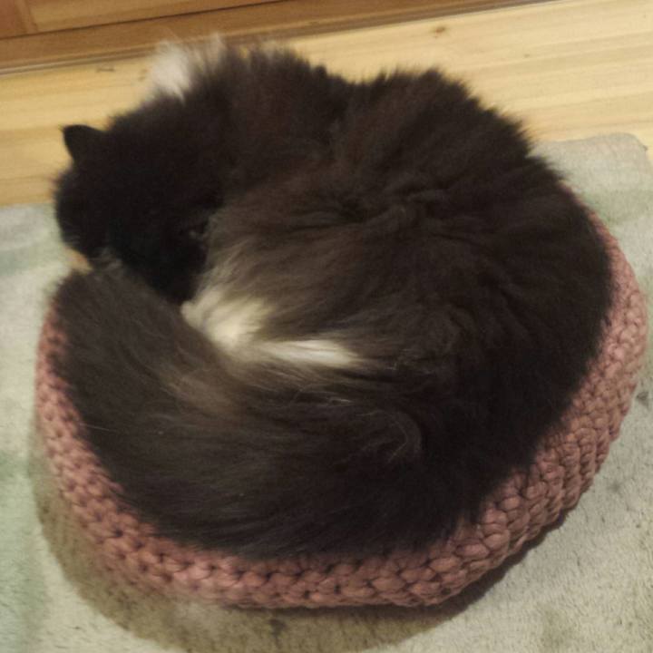 859876b2 5d8f 4f0a 9d9f 28d888a0fd46