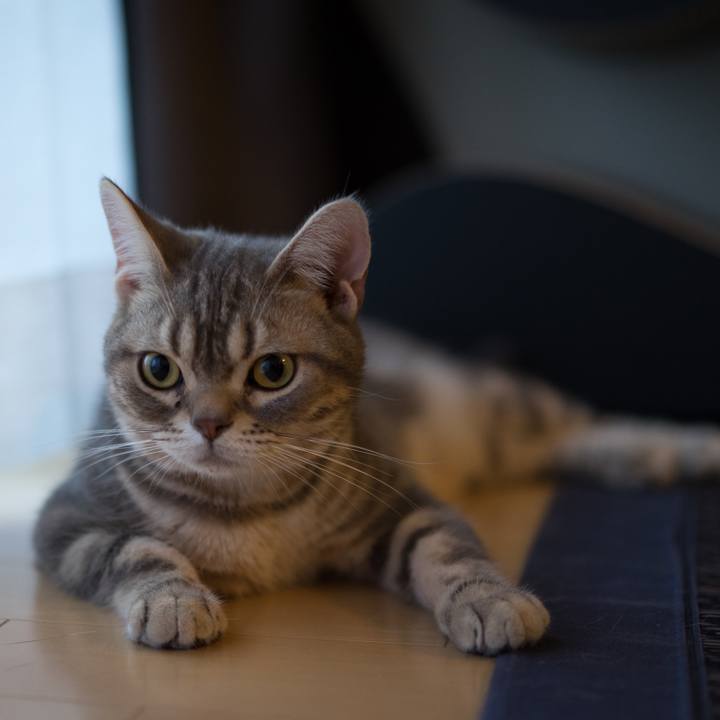 8598a2b2 a7e0 4297 8201 631134ebdb8a