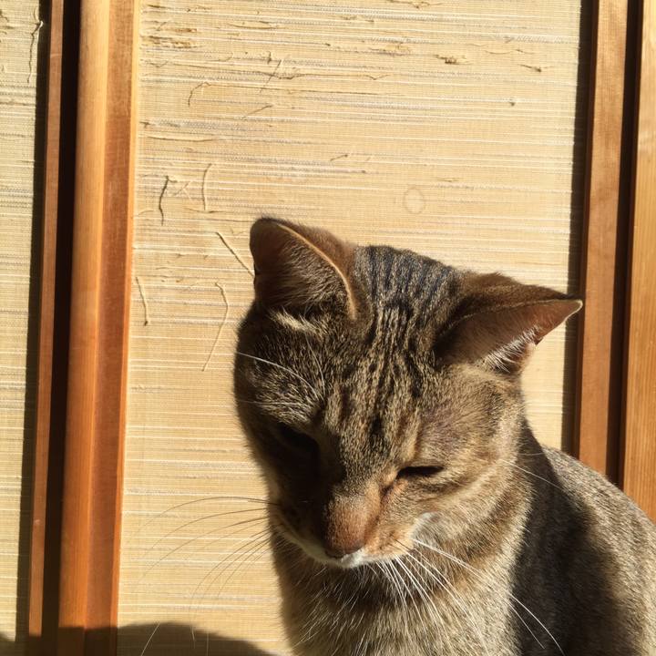 859a5630 a64a 43eb ba38 bc358c716344