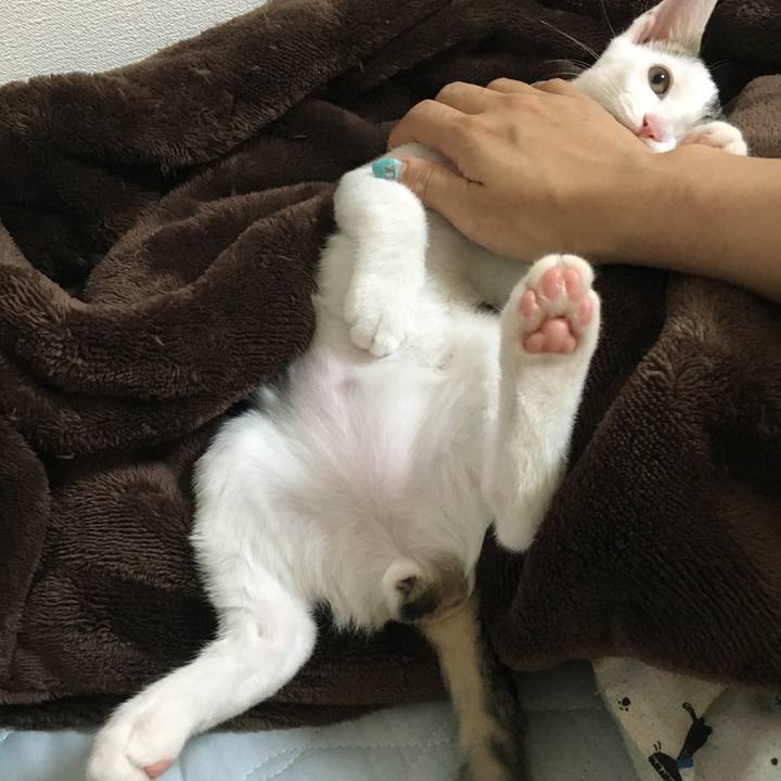 859a89eb 907a 4c5e 8f2d f708b218d93c