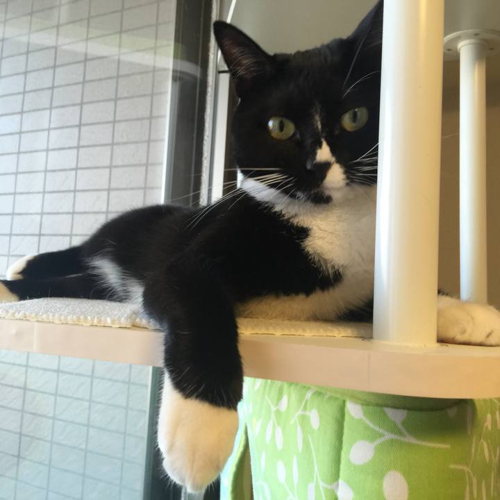 859ab645 88e4 489c a712 9e5573f93201