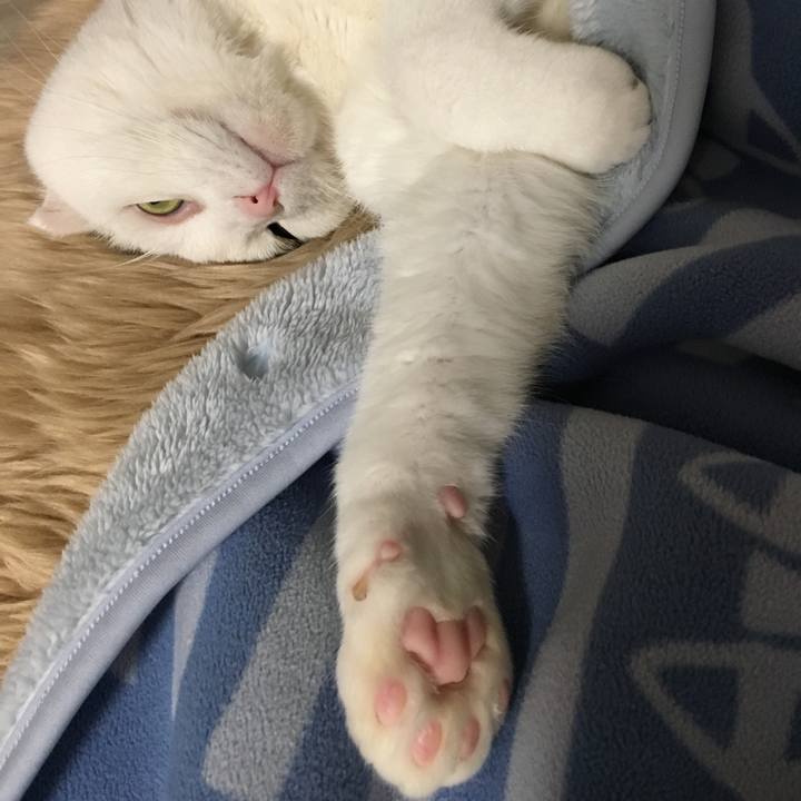 859b3609 2b58 4d1f 927f 365b08d4487a