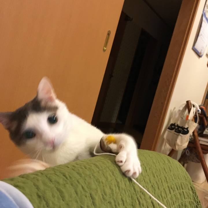 859c7aa3 6458 4e28 92e3 551ae0edc168