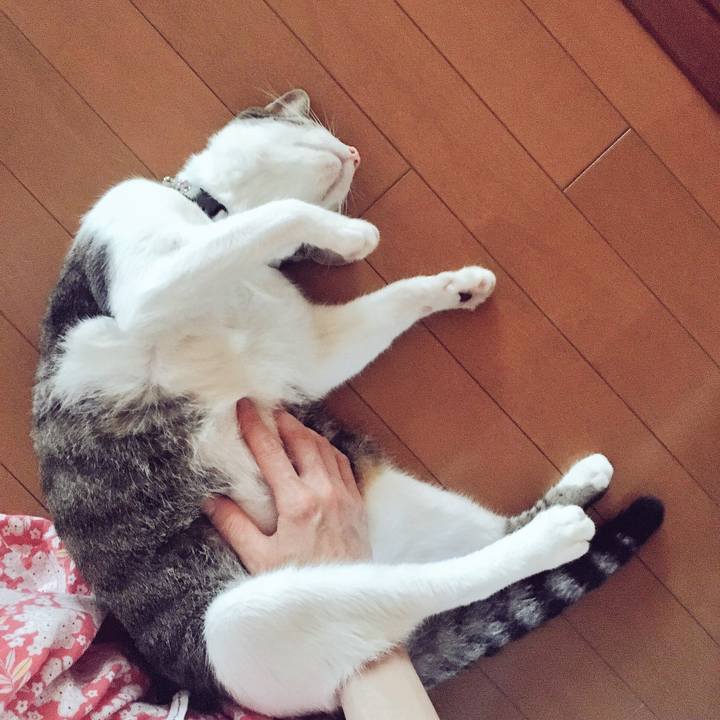 859cf6c3 b91a 47c3 ba08 def2d4718f1f