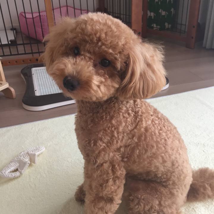 859d0595 87a4 433b 85f0 c86d028b8581