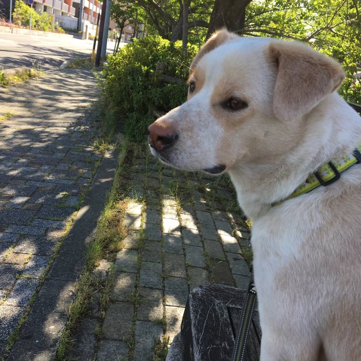 859dbf33 298e 492f b218 d43eeaeb26fa