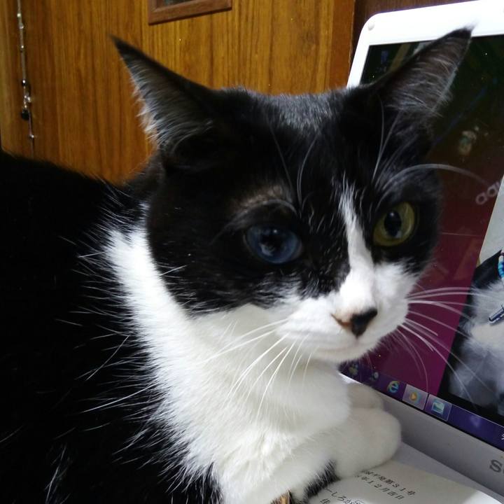 859e86de 27cd 4fc4 a95d 43f46e921437