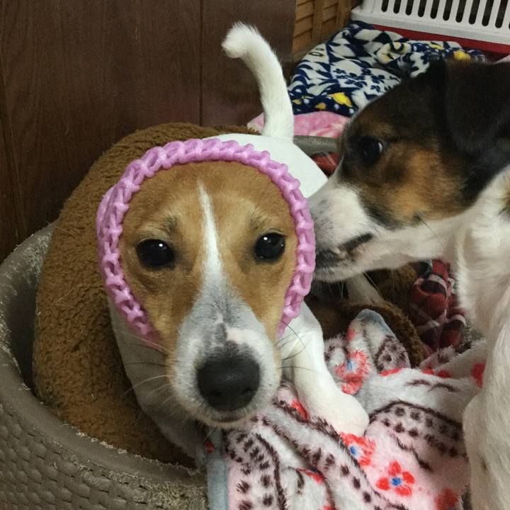 859e8806 2073 469e bdcd 80b2def90445