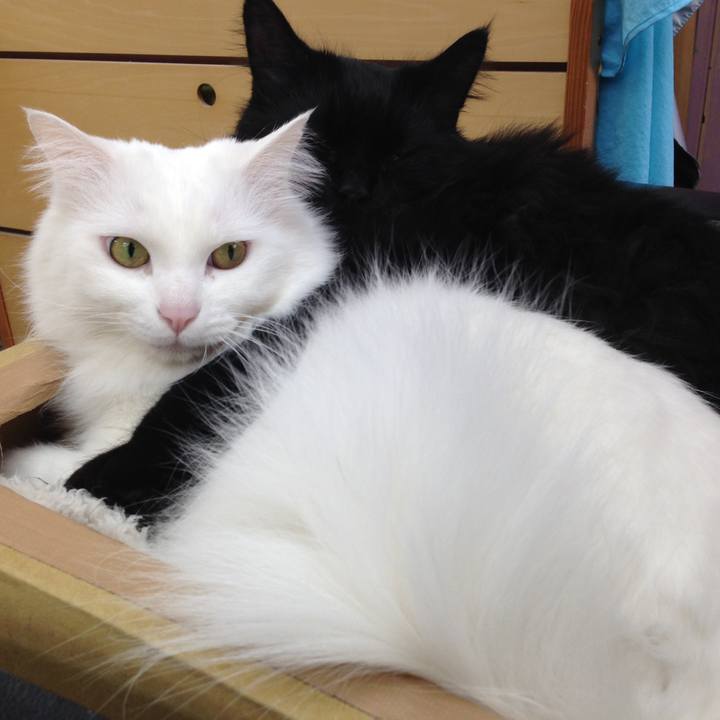 859e940e 35e3 40a1 ac8f 5bb84002f50e