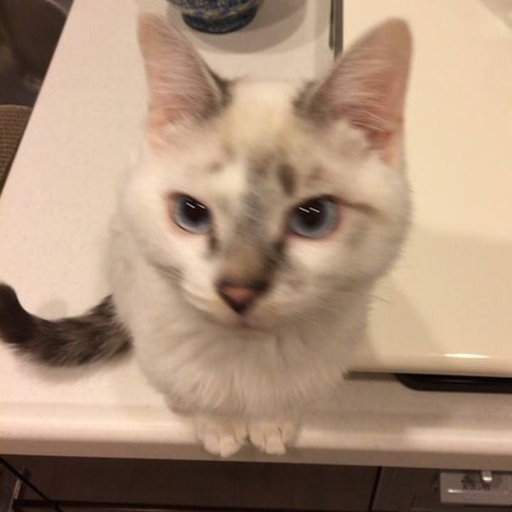 859f2e3a edea 4472 83d3 b3cdd3a8c2b9