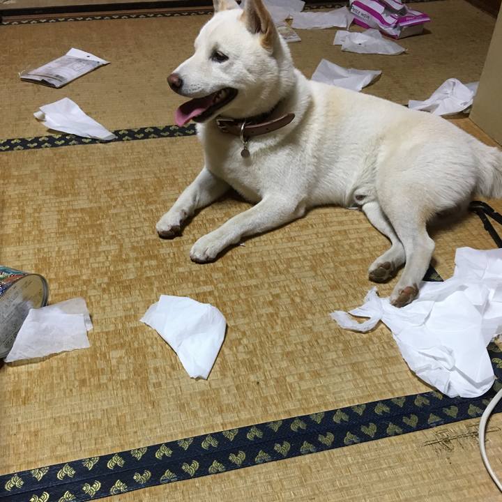 85a025da 6b95 4ad2 b035 8a8b856ebb84