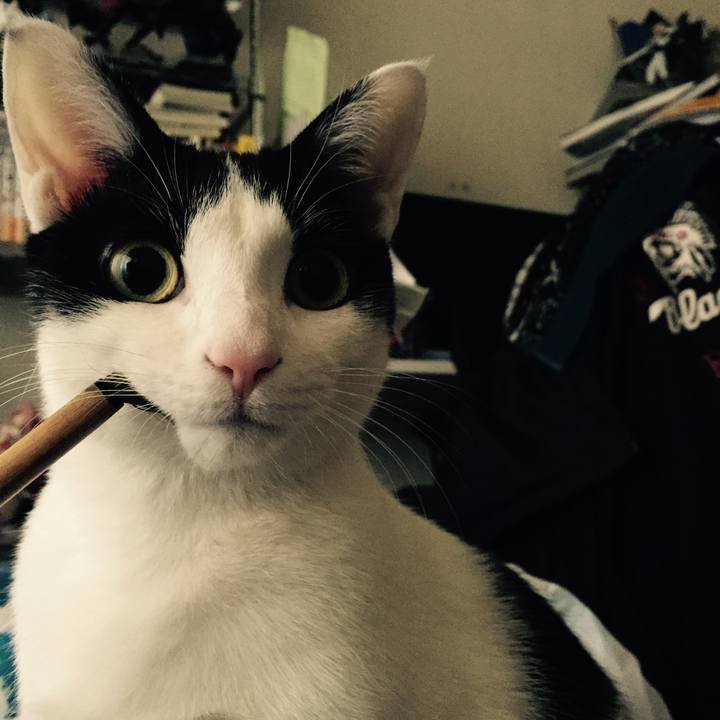 85a0303f 543d 49a9 8a83 31055740c01f