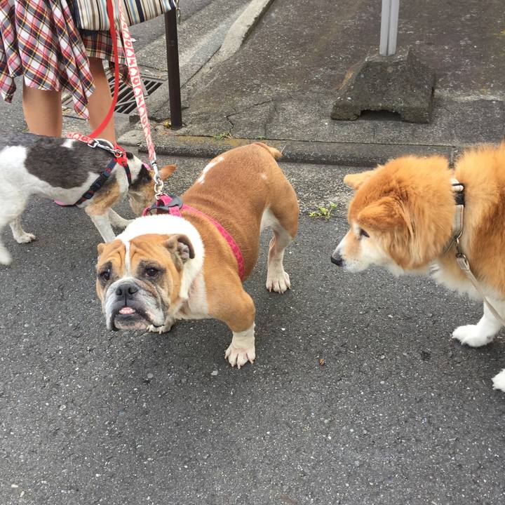 85a0fd63 02da 4e0c bdba e34cc419b3a7