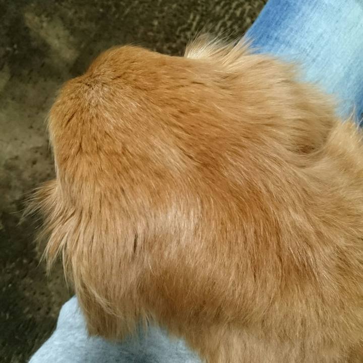 85a17455 2dec 4ad9 8c6b bcbe3a8cb4bb