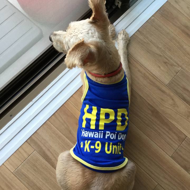 85a18474 f304 4b1d be2f 73c081fd7dc5