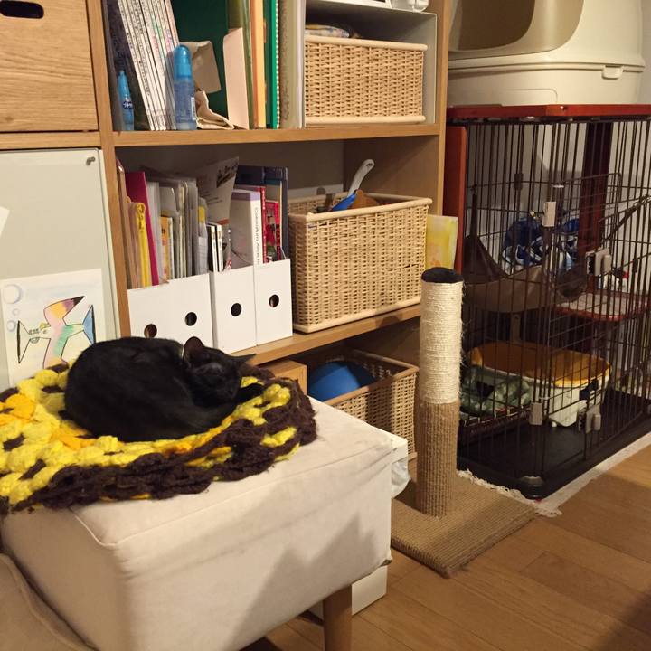 85a26de2 98de 4a63 881b a3d9718f8564